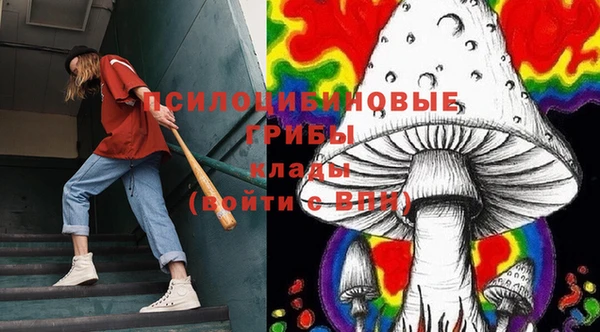 а пвп мука Дмитровск