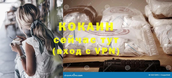 PSILOCYBIN Гусев